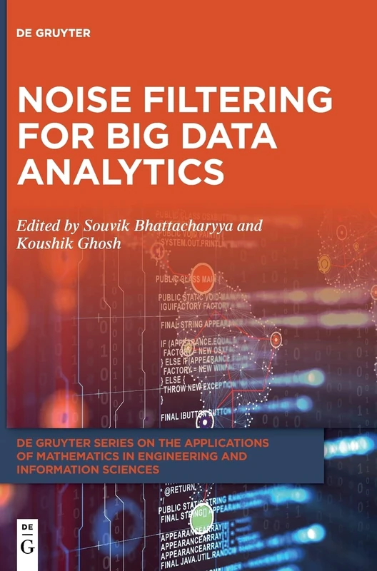 Noise Filtering for Big Data Analytics: 12 (De Gruyter Series on the Applications of Mathematics in Engineering and Information Sciences, 12)