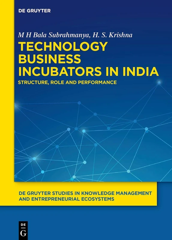 Technology Business Incubators in India: Structure, Role and Performance: 2 (De Gruyter Studies in Knowledge Management and Entrepreneurial Ecosystems, 2)