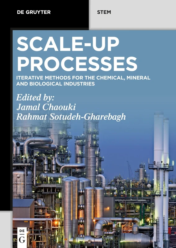 Scale-up Processes: Iterative Methods for the Chemical, Mineral and Biological Industries (De Gruyter STEM)