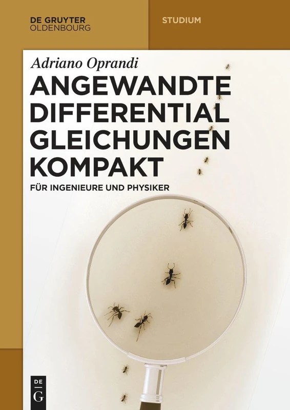 Angewandte Differentialgleichungen Kompakt: für Ingenieure und Physiker (de Gruyter Studium)