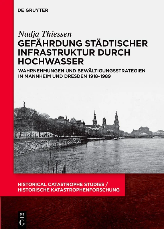 Gefährdung städtischer Infrastruktur durch Hochwasser: Wahrnehmungen und Bewältigungsstrategien in Mannheim und Dresden 1918–1989: 2 (Historical ... / Historische Katastrophenforschung, 2)