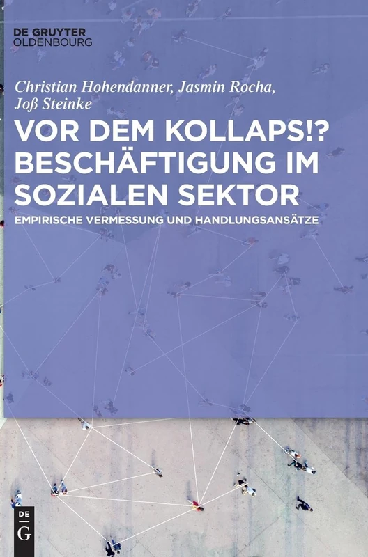 Beschäftigung im Sozialen Sektor: Aktuelle Situation und Herausforderungen für die Zukunft: Empirische Vermessung Und Handlungsansätze