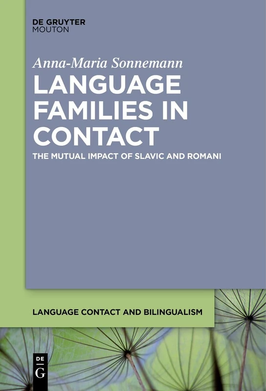 Language Families in Contact: The Impact of Slavic on Romani: The Mutual Impact of Slavic and Romani: 24 (Language Contact and Bilingualism [LCB], 24)