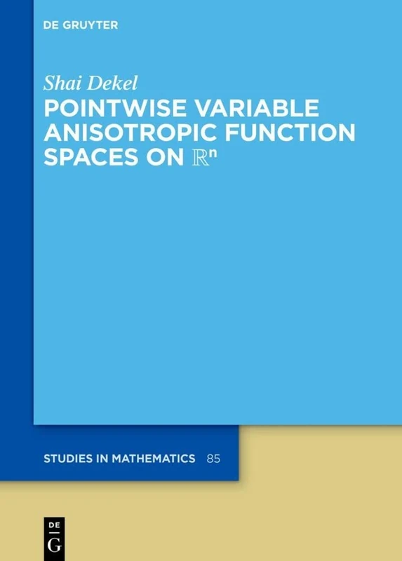 Pointwise Variable Anisotropic Function Spaces on ℝⁿ: 85 (De Gruyter Studies in Mathematics, 85)