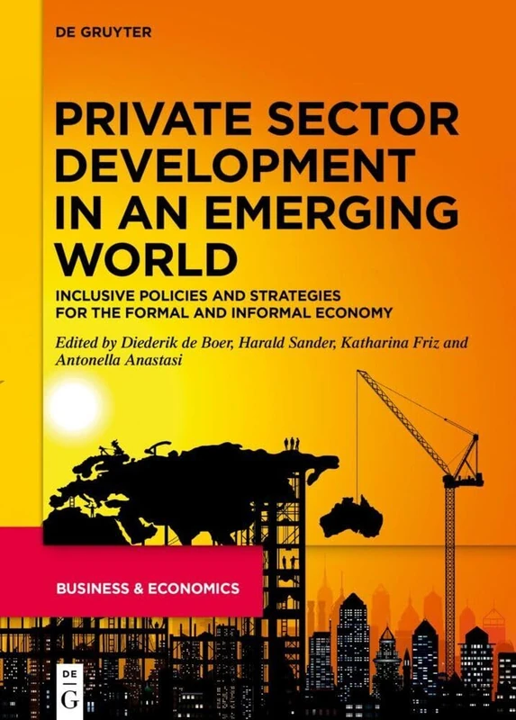Private Sector Development in an Emerging World: Inclusive Policies and Strategies for the Formal and Informal Economy (De Gruyter Business & Economics)