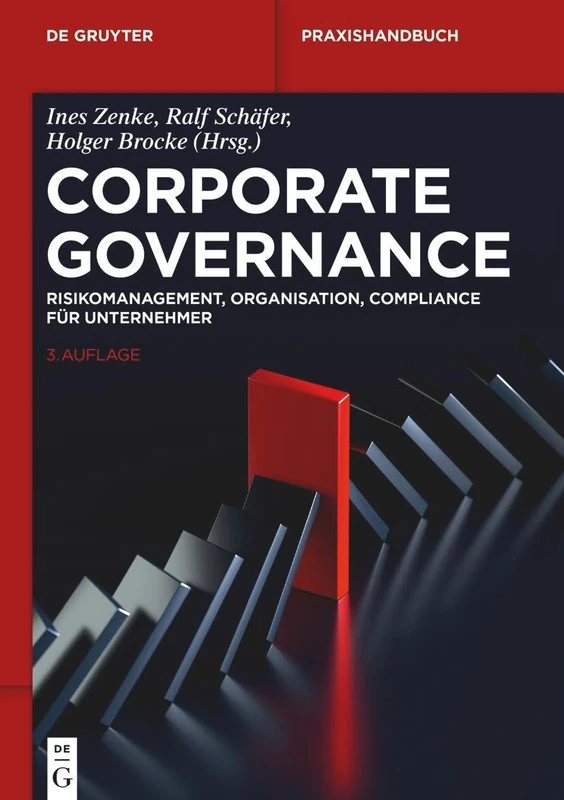 Corporate Governance: Risikomanagement, Organisation, Compliance Für Unternehmer (de Gruyter Praxishandbuch)