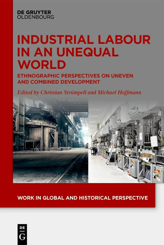 Industrial Labour in an Unequal World: Ethnographic Perspectives on Uneven and Combined Development: 20 (Work in Global and Historical Perspective, 20)