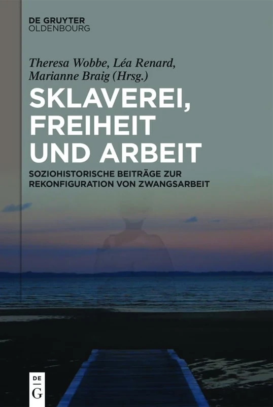 Sklaverei, Freiheit Und Arbeit: Soziohistorische Beiträge Zur Rekonfiguration Von Zwangsarbeit