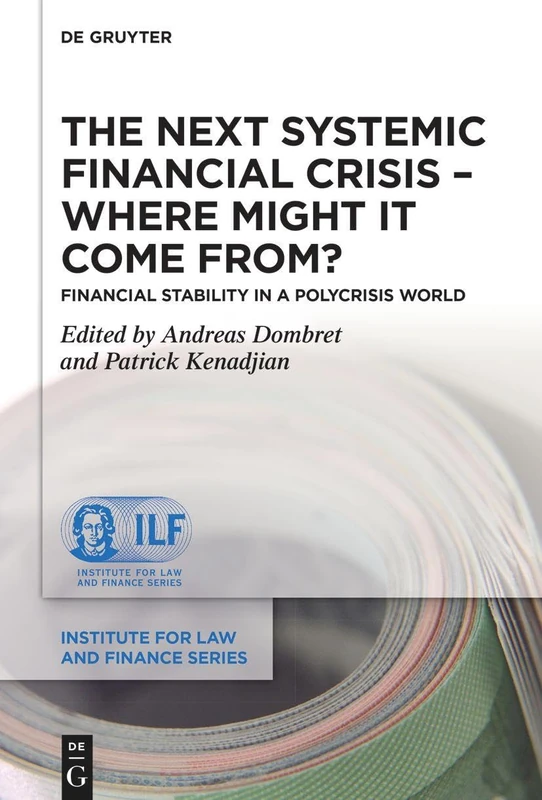 The Next Systemic Financial Crisis – Where Might it Come From?: Financial Stability in a Polycrisis World: 27 (Institute for Law and Finance Series, 27)