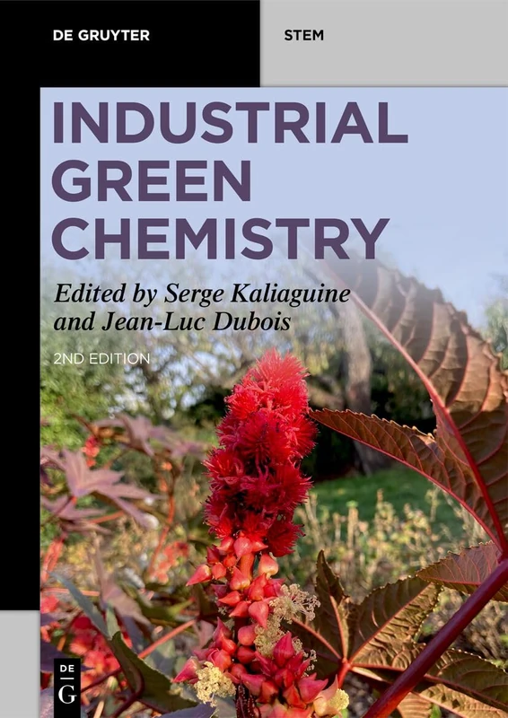 Industrial Green Chemistry (De Gruyter STEM)