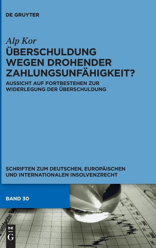 Überschuldung wegen drohender Zahlungsunfähigkeit?: Aussicht auf Fortbestehen zur Widerlegung der Uberschuldung: 30 (Schriften Zum Deutschen, Europäischen Und Internationalen In)