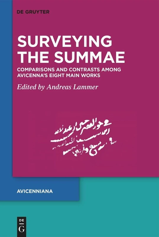 Surveying the Summae: Comparisons and Contrasts among Avicenna’s Eight Main Works (Proceedings of the Third Meeting of the Avicenna Study Group) (Publications of the Avicenna Study Group)