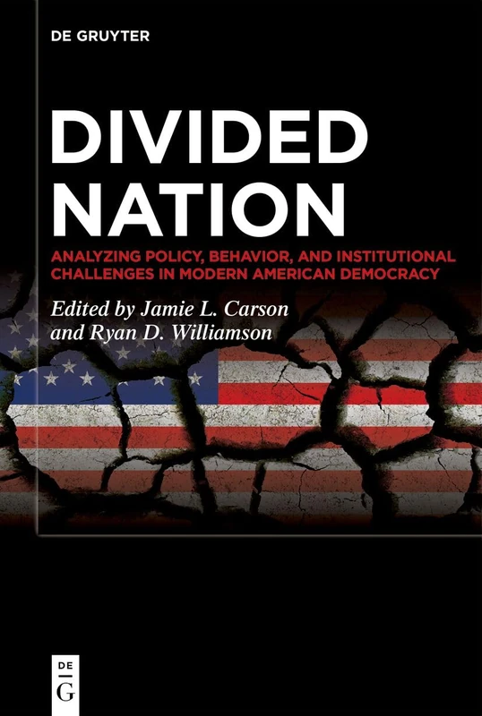 Divided Nation: Analyzing Policy, Behavior, and Institutional Challenges in Modern American Democracy