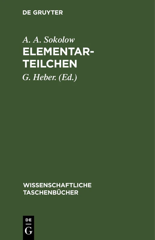 Elementarteilchen: 25 (Wissenschaftliche Taschenbücher)