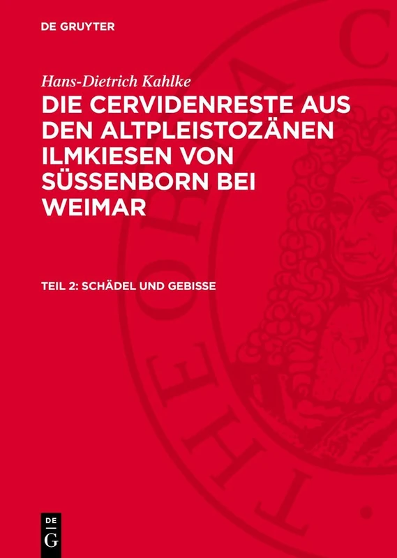 Schädel Und Gebisse