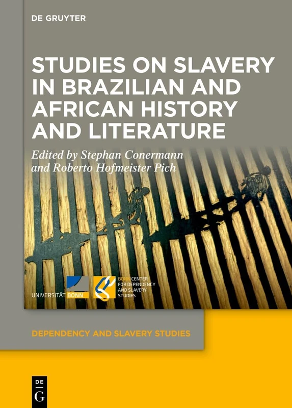 Studies on Slavery in Brazilian and African History and Literature: 21 (Dependency and Slavery Studies, 21)