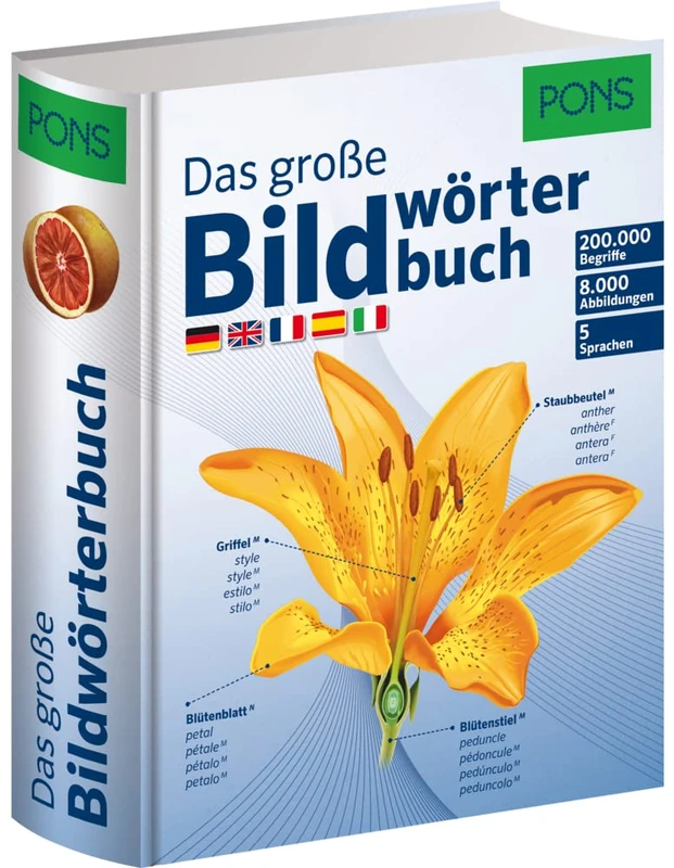 PONS Das große Bildwörterbuch: Deutsch, Englisch, Französisch, Spanisch und Italienisch