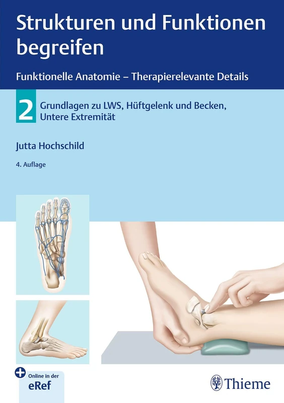 Strukturen und Funktionen begreifen - Funktionelle Anatomie: 2: LWS, Becken, Hüftgelenk, Untere Extremität