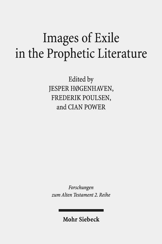 Images of Exile in the Prophetic Literature: Copenhagen Conference Proceedings 7-10 May 2017: 103 (Forschungen zum Alten Testament 2. Reihe)