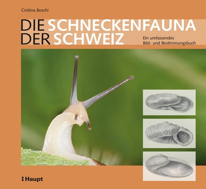 DIE SCHNECKENFAUNA DER SCHWEIZ: Ein umfassendes Bild- und Bestimmungsbuch