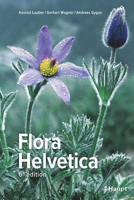 Flora Helvetica - Flore illustrée de Suisse: avec 3250 descriptions de plantes à fleurs, de fougères et de plantes cultivées, avec cartes de distribution - Image 1