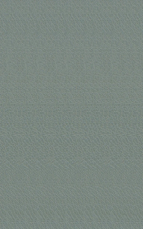 Amadis (Newe Historia Vom Amadis Auss Franckreich...): Buch I-VI, Nachdruck Der Ausgabe Frankfurt/M., Feyerabend (1569-1572): 4 (Bibliotheca Anastatica Germanica)