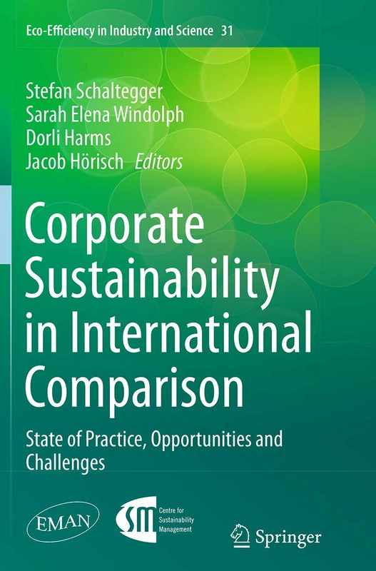 Corporate Sustainability in International Comparison: State of Practice, Opportunities and Challenges: 31 (Eco-Efficiency in Industry and Science, 31)
