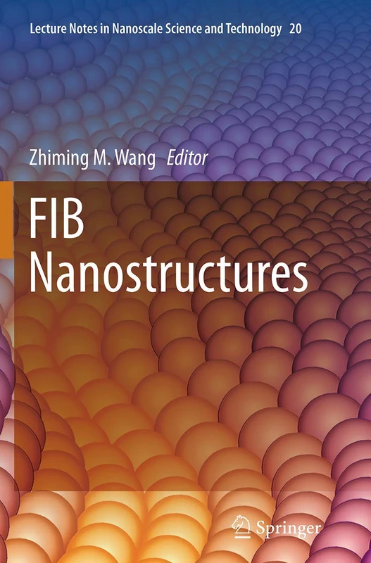 FIB Nanostructures: 20 (Lecture Notes in Nanoscale Science and Technology, 20)