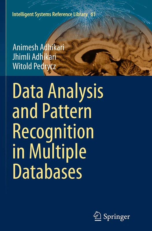 Data Analysis and Pattern Recognition in Multiple Databases: 61 (Intelligent Systems Reference Library, 61)