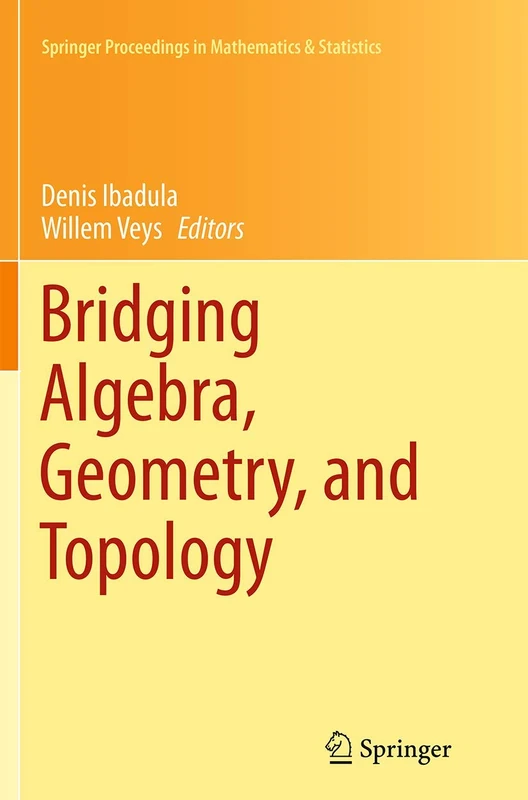 Bridging Algebra, Geometry, and Topology: 96 (Springer Proceedings in Mathematics & Statistics, 96)