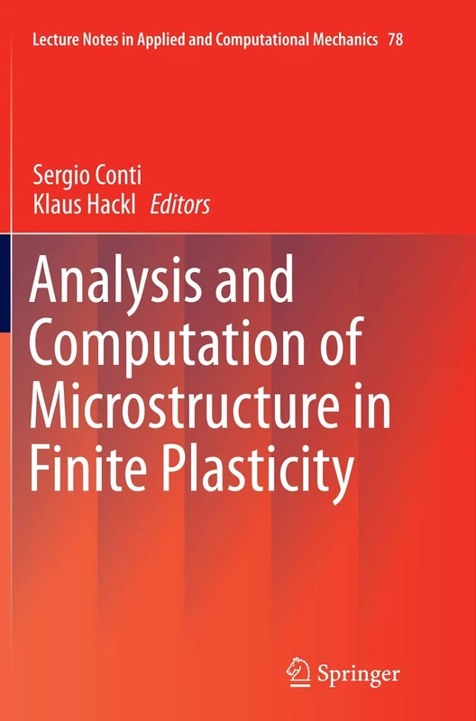 Analysis and Computation of Microstructure in Finite Plasticity: 78 (Lecture Notes in Applied and Computational Mechanics, 78)