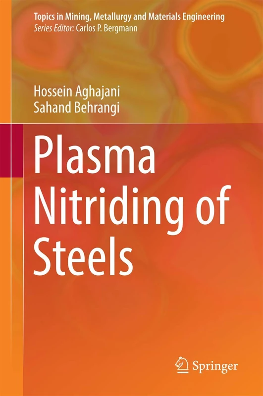 Plasma Nitriding of Steels (Topics in Mining, Metallurgy and Materials Engineering)