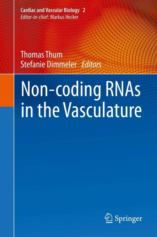 Non-coding RNAs in the Vasculature: 2 (Cardiac and Vascular Biology, 2)
