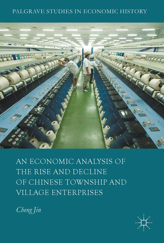 An Economic Analysis of the Rise and Decline of Chinese Township and Village Enterprises (Palgrave Studies in Economic History)