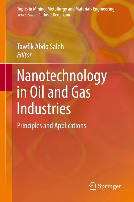 Nanotechnology in Oil and Gas Industries: Principles and Applications (Topics in Mining, Metallurgy and Materials Engineering)