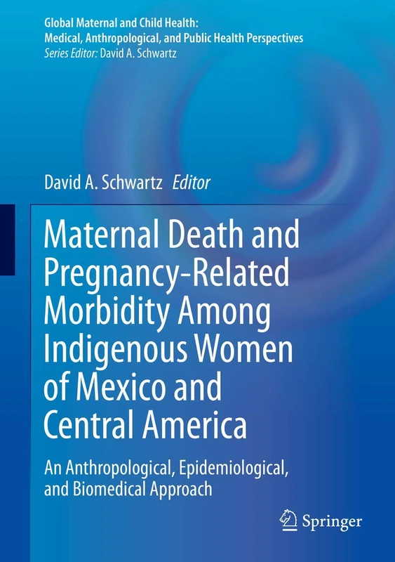 Maternal Death and Pregnancy-Related Morbidity Among Indigenous Women of Mexico and Central America: An Anthropological, Epidemiological, and Biomedical Approach (Global Maternal and Child Health) - Image 1