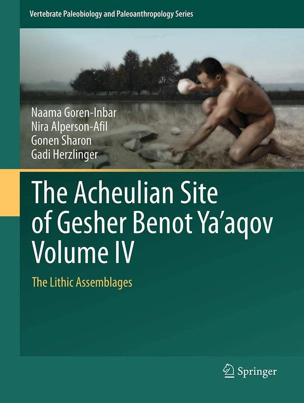 The Acheulian Site of Gesher Benot Ya‘aqov Volume IV: The Lithic Assemblages: 4 (Vertebrate Paleobiology and Paleoanthropology)
