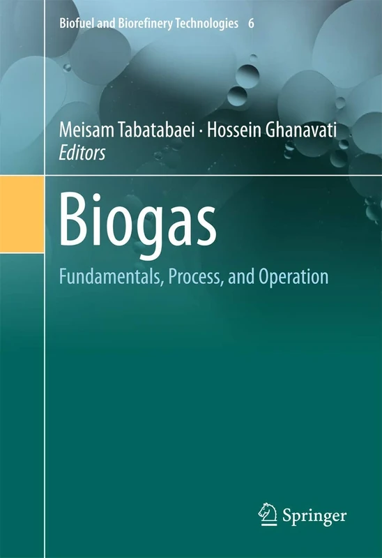 Biogas: Fundamentals, Process, and Operation: 6 (Biofuel and Biorefinery Technologies, 6)