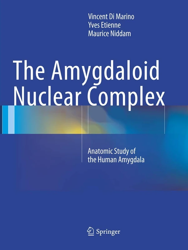 The Amygdaloid Nuclear Complex: Anatomic Study of the Human Amygdala