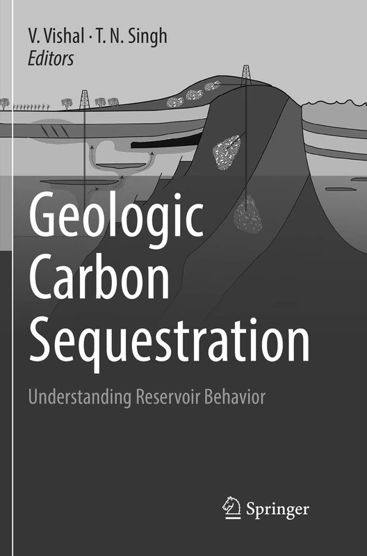Springer Geologic Carbon Sequestration - Reservoir Behavior
