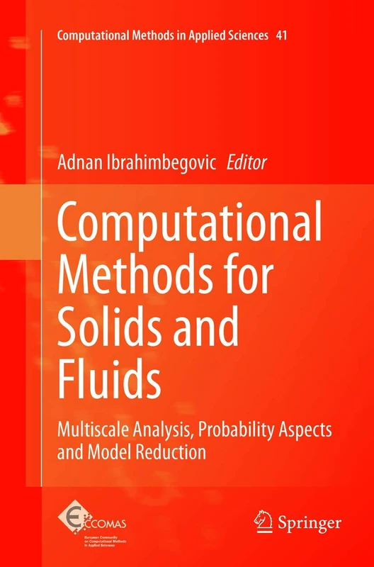 Computational Methods for Solids and Fluids: Multiscale Analysis, Probability Aspects and Model Reduction: 41 (Computational Methods in Applied Sciences, 41)