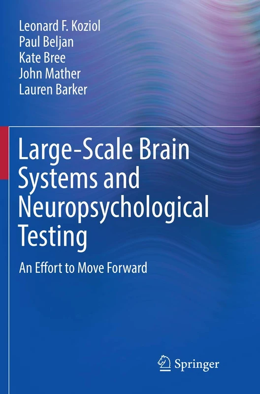 Large-Scale Brain Systems and Neuropsychological Testing: An Effort to Move Forward (Springerbriefs in Neuroscience)