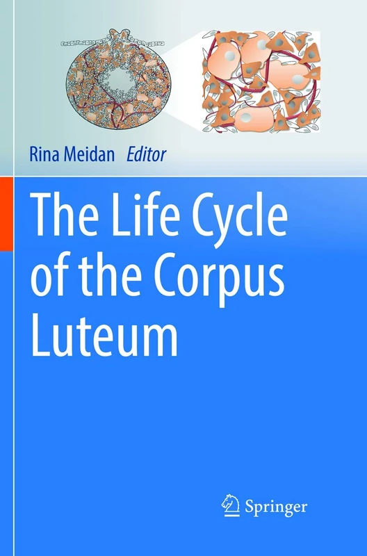 The Life Cycle of the Corpus Luteum - Image 1