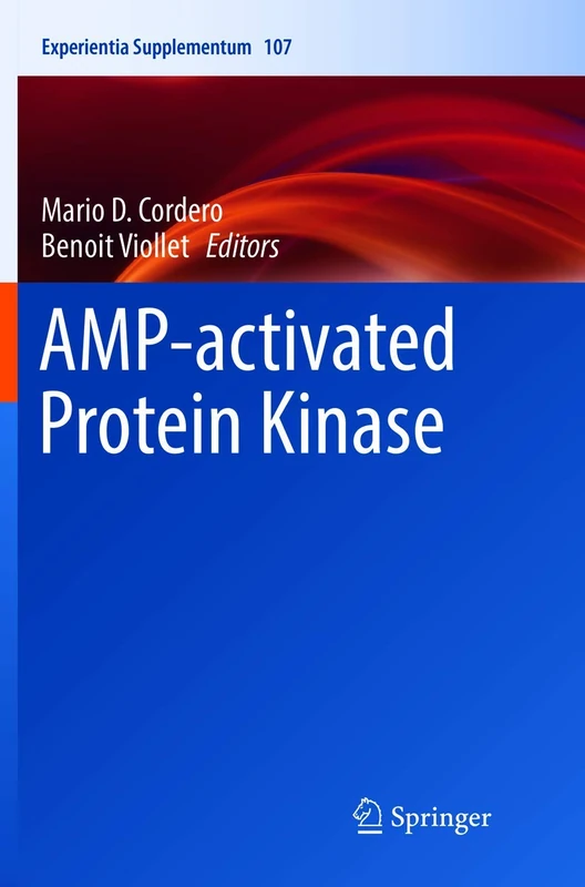 AMP-activated Protein Kinase: 107 (Experientia Supplementum, 107) - Image 1