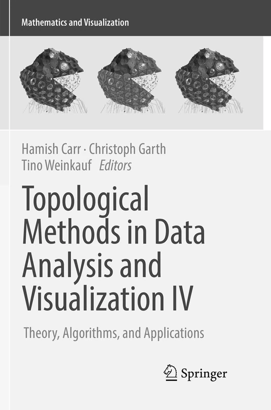 Topological Methods in Data Analysis and Visualization IV: Theory, Algorithms, and Applications (Mathematics and Visualization)