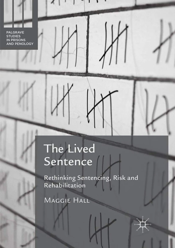 The Lived Sentence: Rethinking Sentencing, Risk and Rehabilitation (Palgrave Studies in Prisons and Penology)