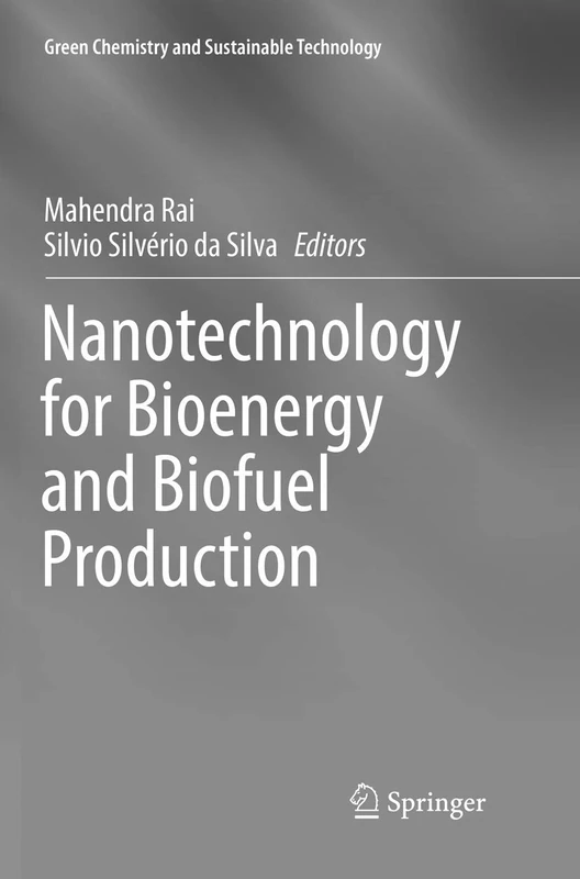 Nanotechnology for Bioenergy and Biofuel Production (Green Chemistry and Sustainable Technology) - Image 1
