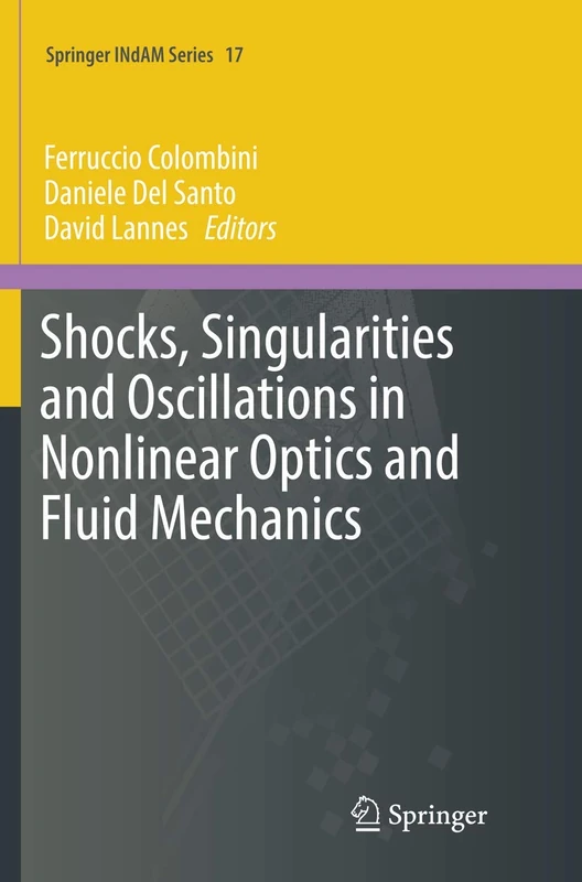 Shocks, Singularities and Oscillations in Nonlinear Optics and Fluid Mechanics: 17 (Springer INdAM Series)