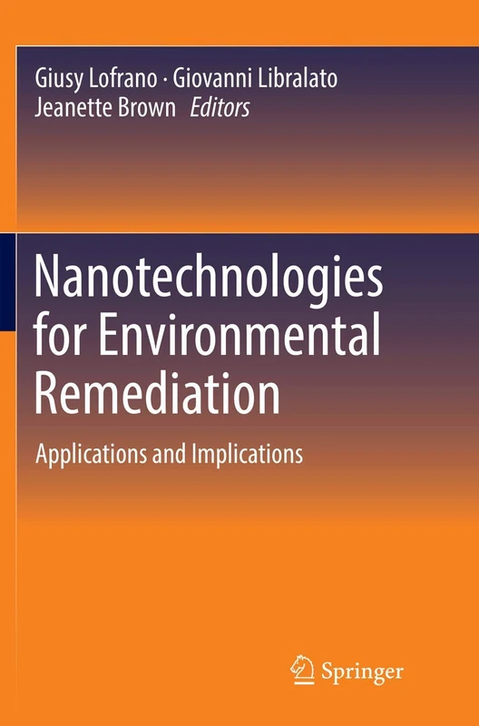 Nanotechnologies for Environmental Remediation: Applications and Implications