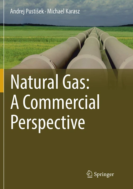 Springer - Natural Gas: A Commercial Perspective Book